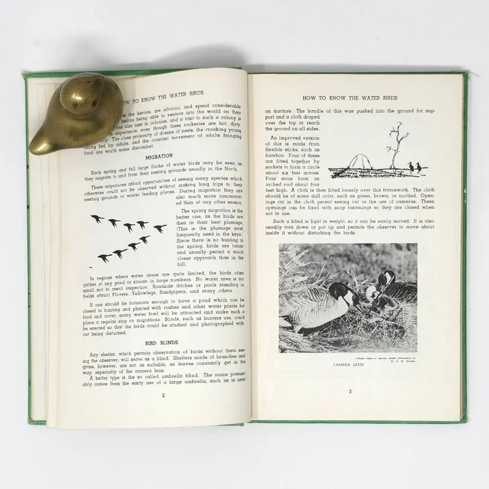 Title: How to Know Water Birds 1960 Vintage HC Pictured-Key Nature Series